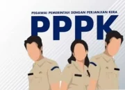 Peserta Seleksi PPPK Tahap 1 Kepulauan Sula Berpotensi Gugur